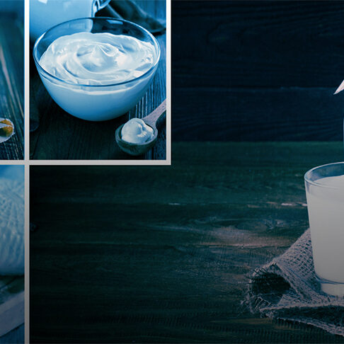 dairy-expo dairy-expo